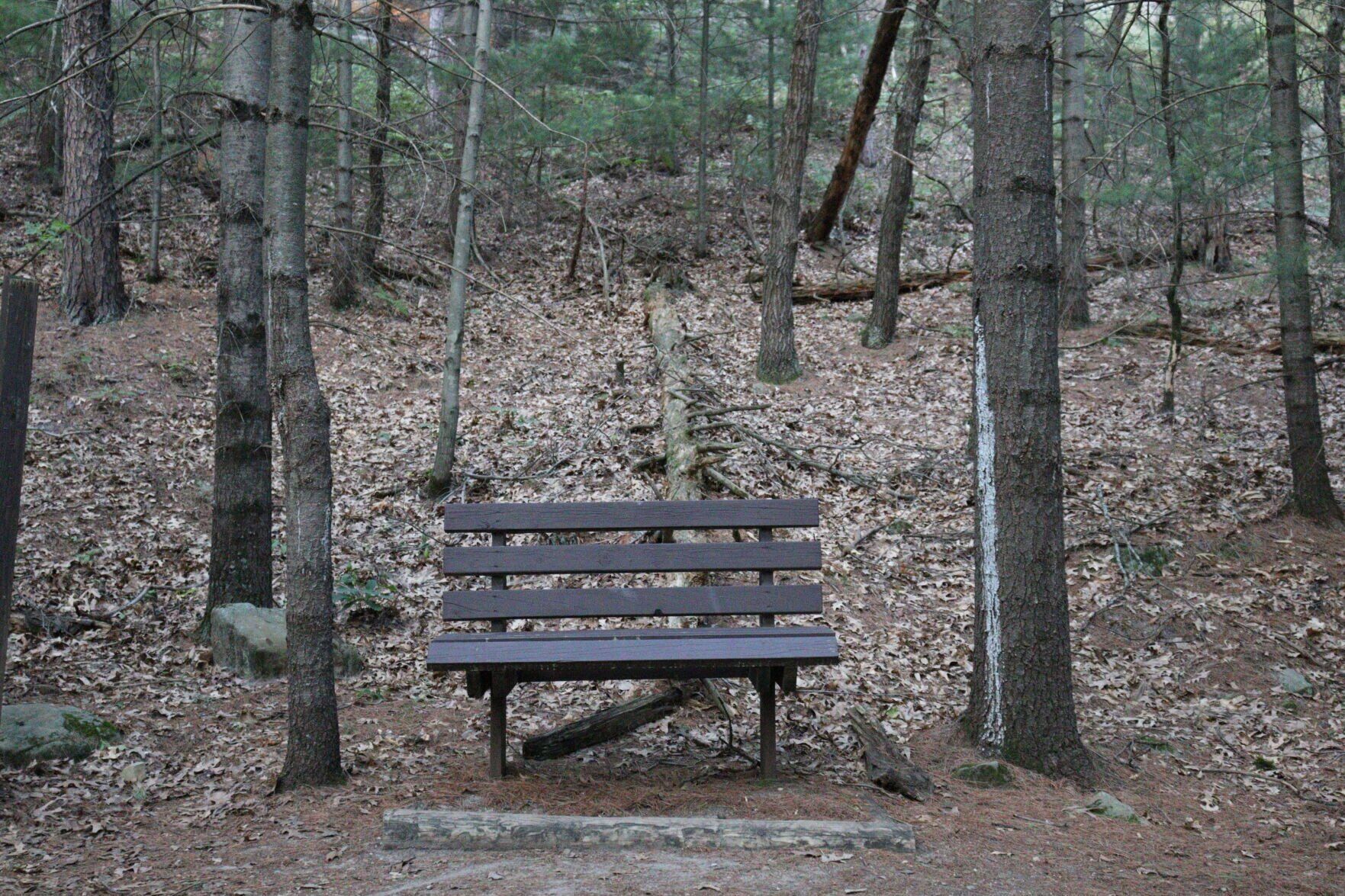 Mill Bluff State Park